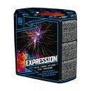 Profi-Feuerwerk,Batteriefeuerwerk, Sivesterfeuerwerk